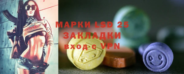 крисы Баксан