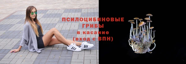 крисы Баксан