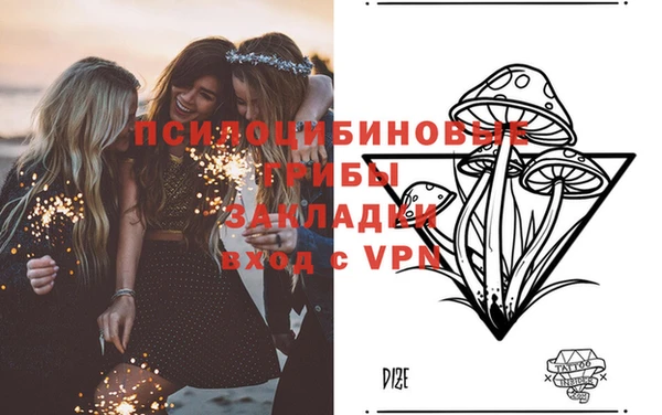 крисы Баксан
