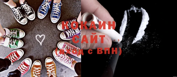крисы Баксан