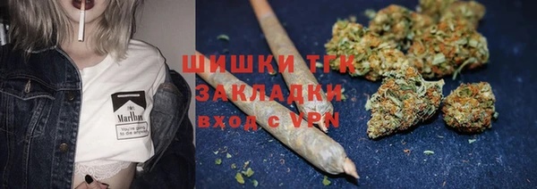 крисы Баксан