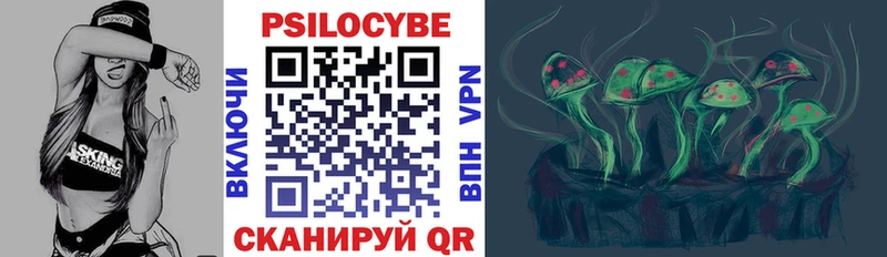 где найти Куйбышев Псилоцибиновые грибы прущие грибы
